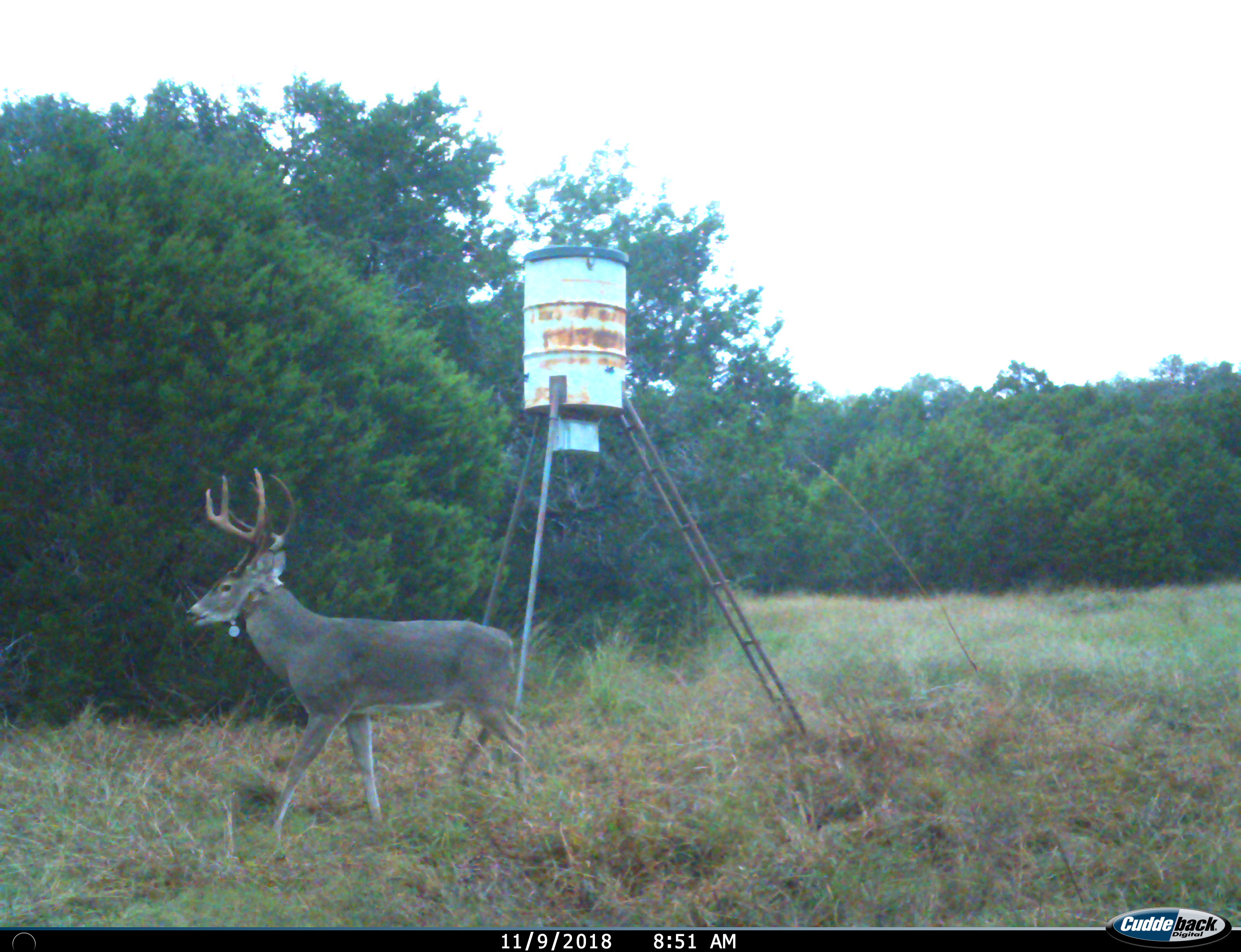 Home Joint Base San Antonio Camp Bullis iSportsman